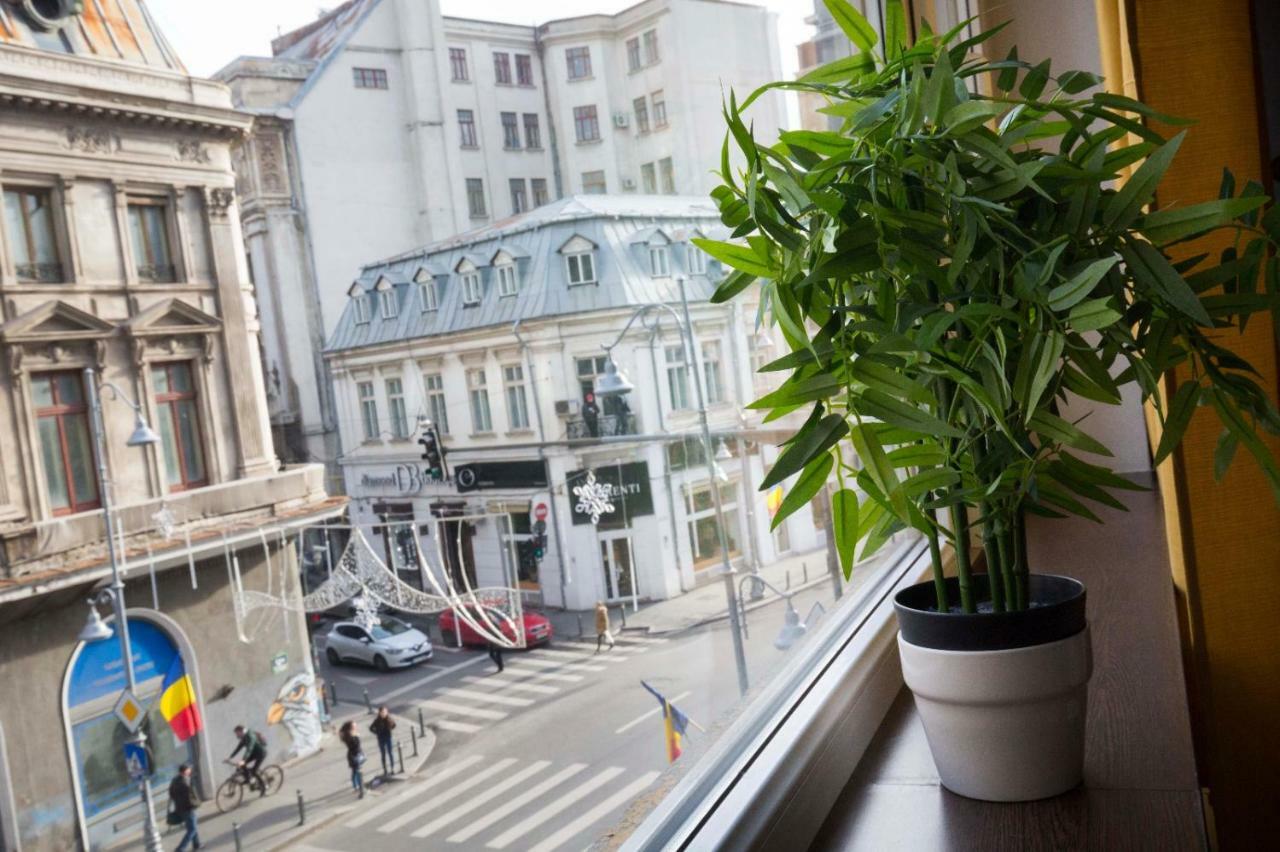 Ideal Apartment Bukareszt Zewnętrze zdjęcie